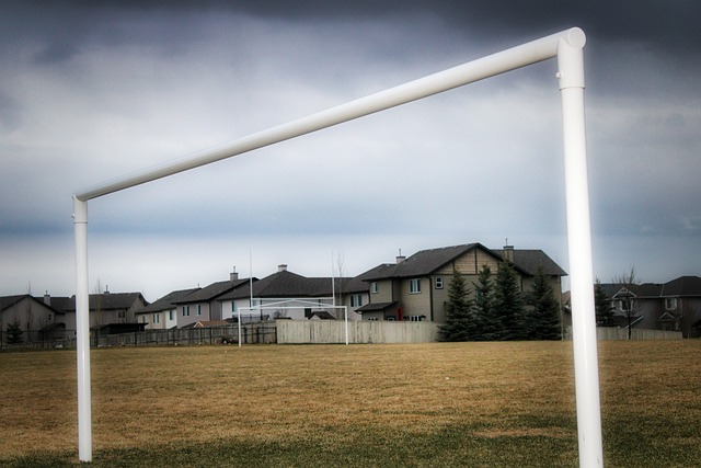 他的若有所 他的若有所