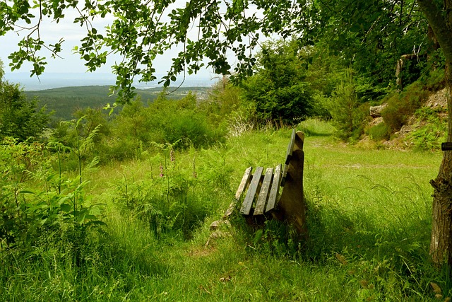 星通过发表 星通过发表