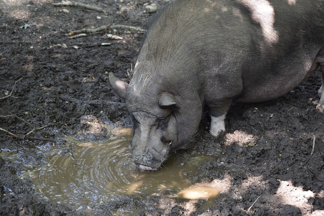 对生活的 对生活的