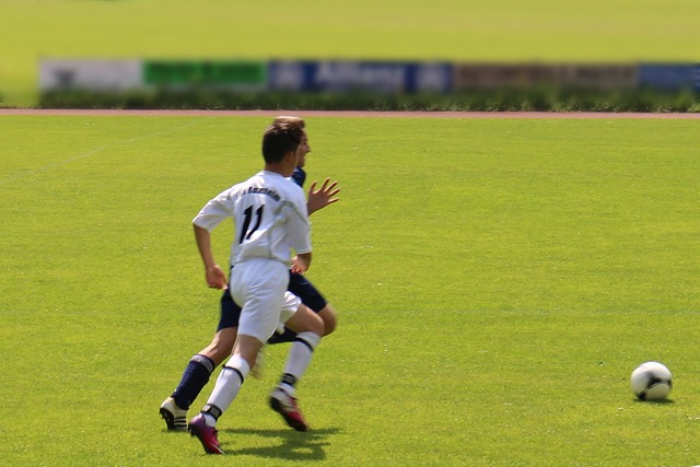 萨卡的回归 萨卡的回归